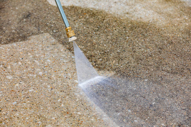 Best Driveway Pressure Washing  in Wasco, CA