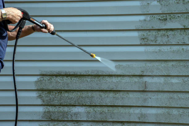 Best Solar Panel Cleaning  in Wasco, CA