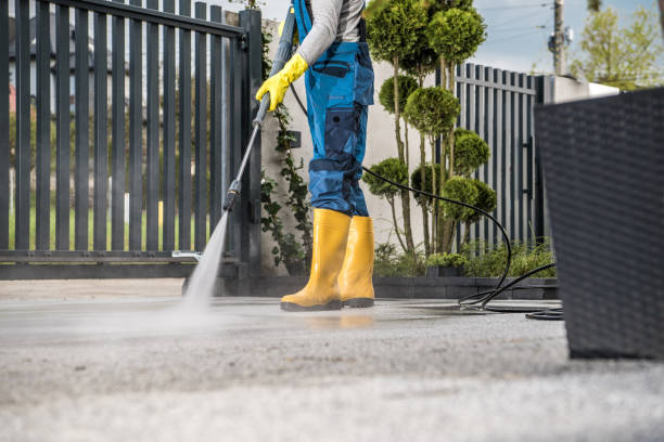 Best Dumpster Area Cleaning  in Wasco, CA